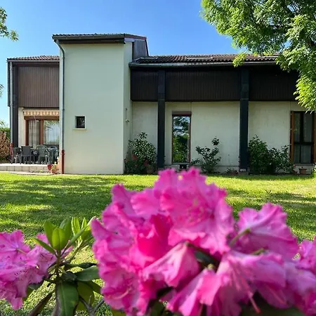 Holiday home Maison 2 A 12 Personnes,quartier Residentiel Thiers