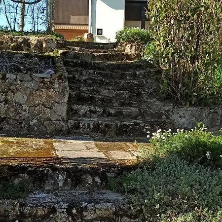 Maison 2 A 12 Personnes,quartier Residentiel * Thiers